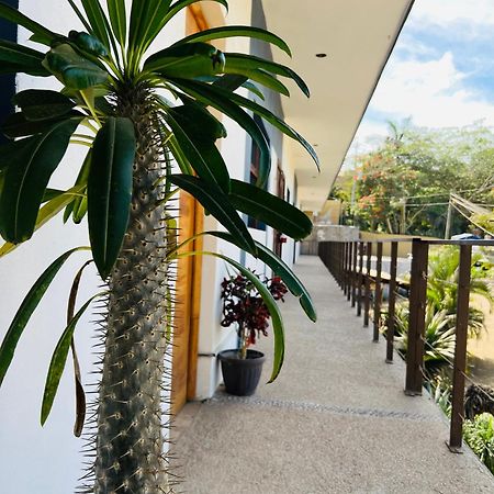 Hotel Samanu Sayulita Εξωτερικό φωτογραφία